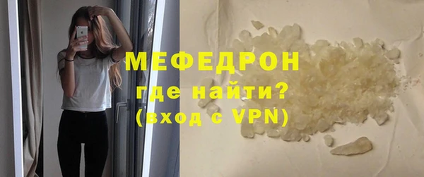 индика Ессентукская