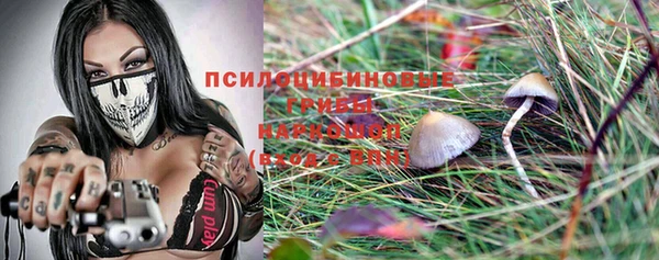 прущий лед Ладушкин