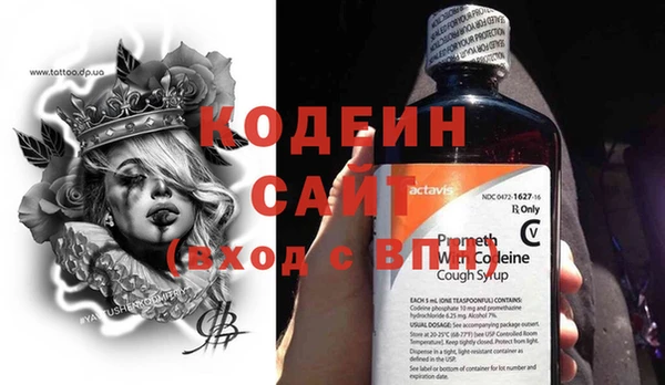 дурь Лабытнанги