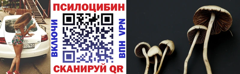 Галлюциногенные грибы Psilocybine cubensis  купить  цена  Ижевск 