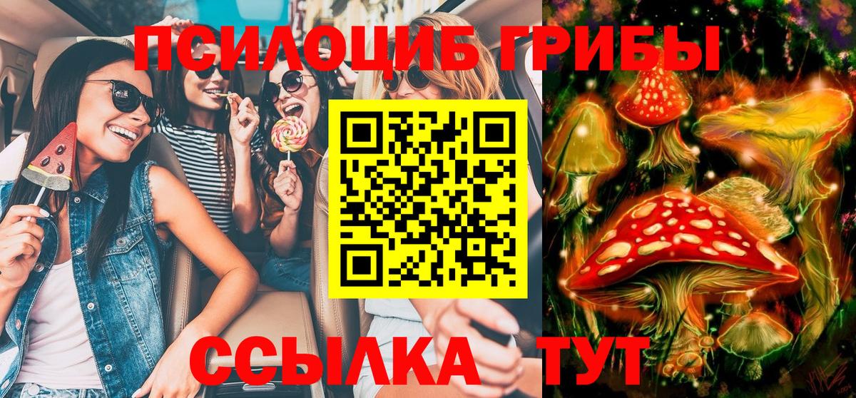 Псилоцибиновые грибы мицелий Ижевск