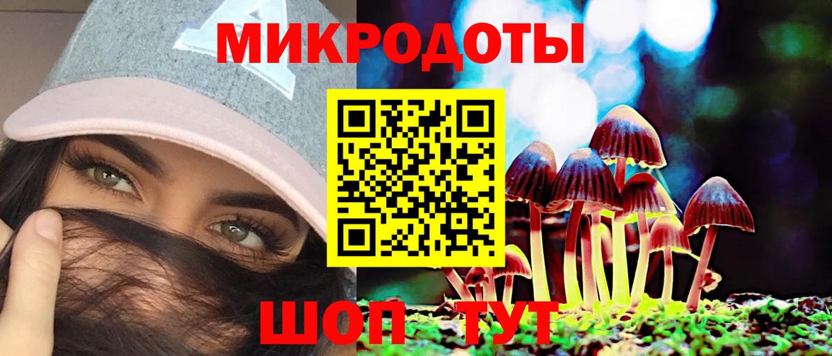 Галлюциногенные грибы Psilocybe Ижевск