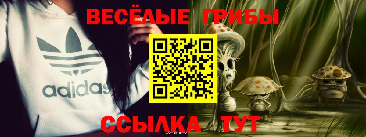 Галлюциногенные грибы Magic Shrooms  Галлюциногенные грибы Psilocybe  Ижевск  Вход с VPN 